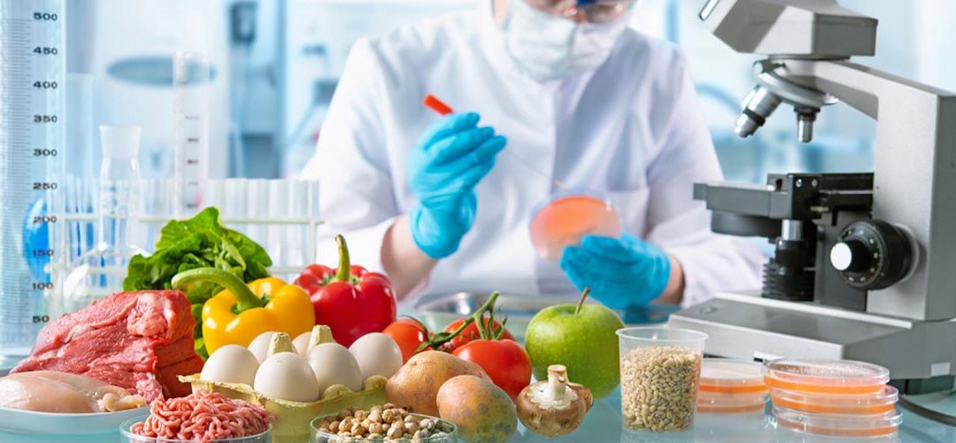 El sector alimentario apuesta por la innovación en packaging sostenible ¡Descubre cómo!