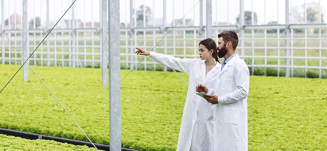 ¿Por qué Andalucía posee el sector agroalimentario más potente de España?