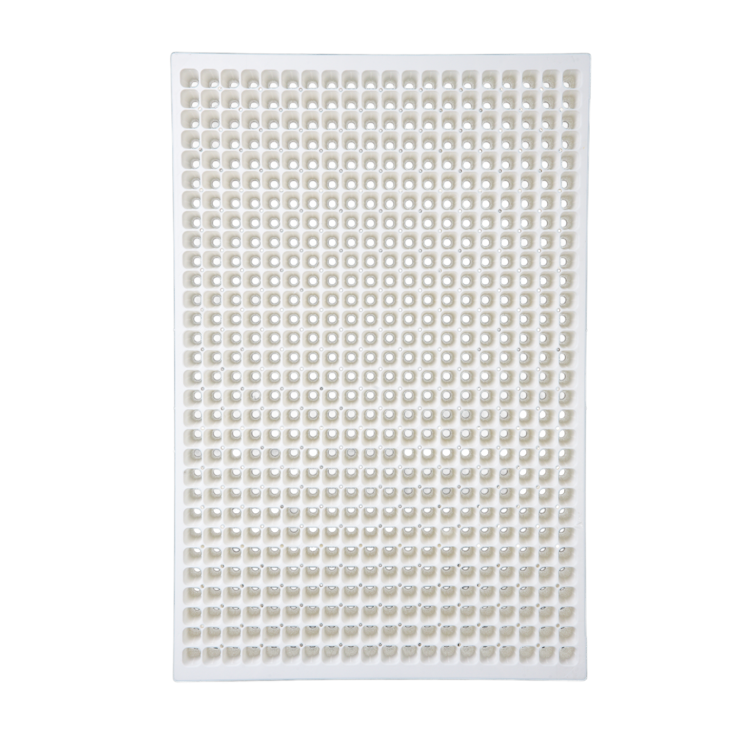 EU600_03.02