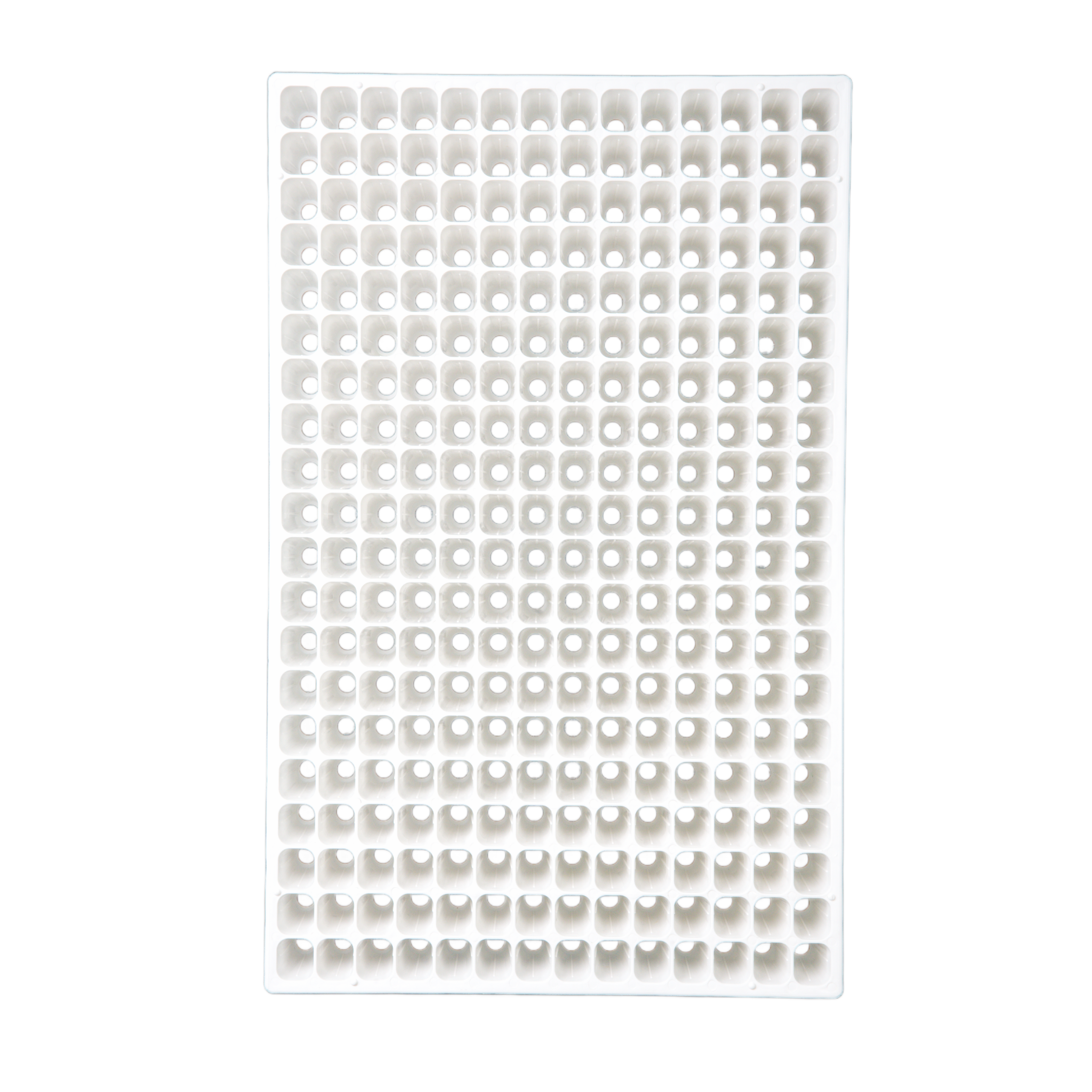 IT280_02.02